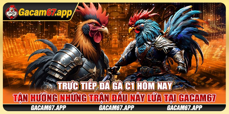 Trực tiếp Đá gà C1 hôm nay - Tận hưởng những trận đấu nảy lửa tại Gacam67