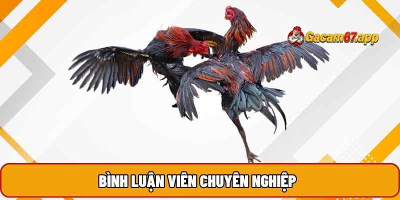 Bình luận viên Đá gà trực tiếp chuyên nghiệp