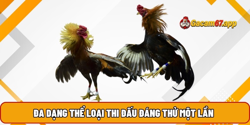 Đa dạng thể loại thi đấu đáng thử một lần