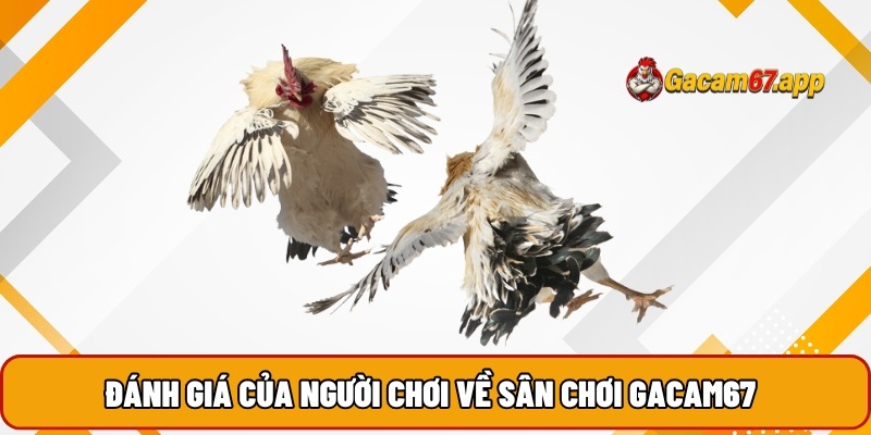 Đánh giá của người chơi về sân chơi Gacam67