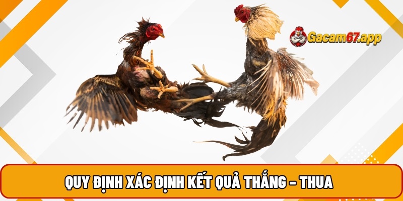 Quy định xác định kết quả thắng - thua