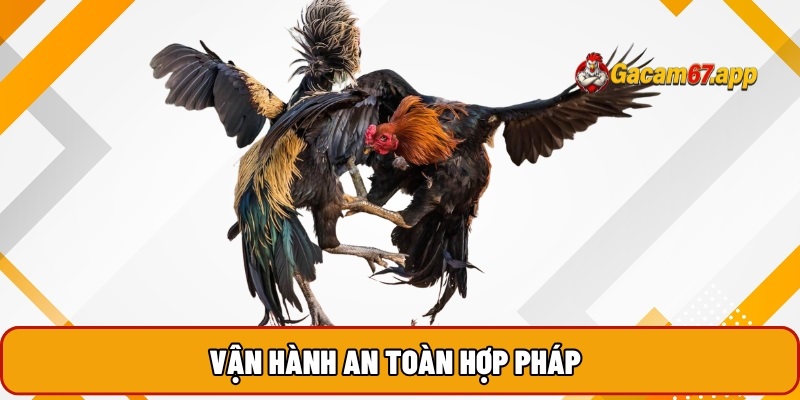 Vận hành an toàn hợp pháp
